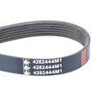 AGCO | Serpentine Belt, Pk6 Profile - 4282444M1 - Farming Parts