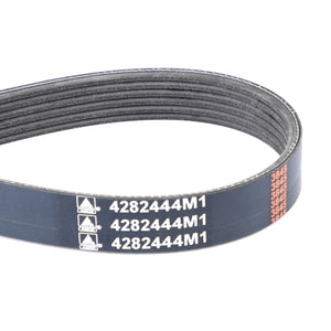 The AGCO Genuine Serpentine Belt, featuring a Pk6 profile and part number 4282444M1, is designed for optimal performance in automotive and machinery applications. This black ribbed belt with white markings effectively reduces noise and slippage, ensuring reliable operation.