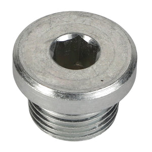 AGCO | Plug Screw | AG-X483801601000