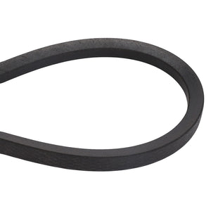 AGCO | V BELT - D41935500