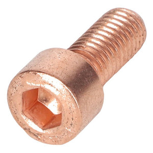 The AGCO | Socket Head Bolt - F530200090590, featuring a partially threaded copper shaft, glistens against a pristine white background.