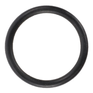 Close-up view of the AGCO | O Ring - Acw2077970 in black rubber. No current product description information is available.