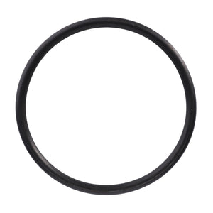 AGCO | O-Ring | AG-X548922366000