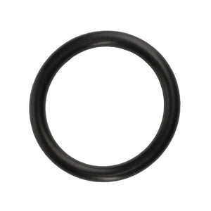 AGCO | O Ring | AG-3011148X1