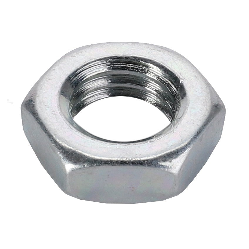 AGCO | Hex Nut - 3009696X1 - Farming Parts