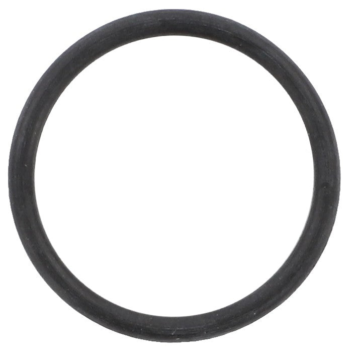 AGCO | O Ring | AG-3015311X1