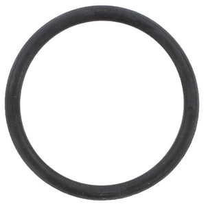 AGCO | O Ring | AG-3015311X1