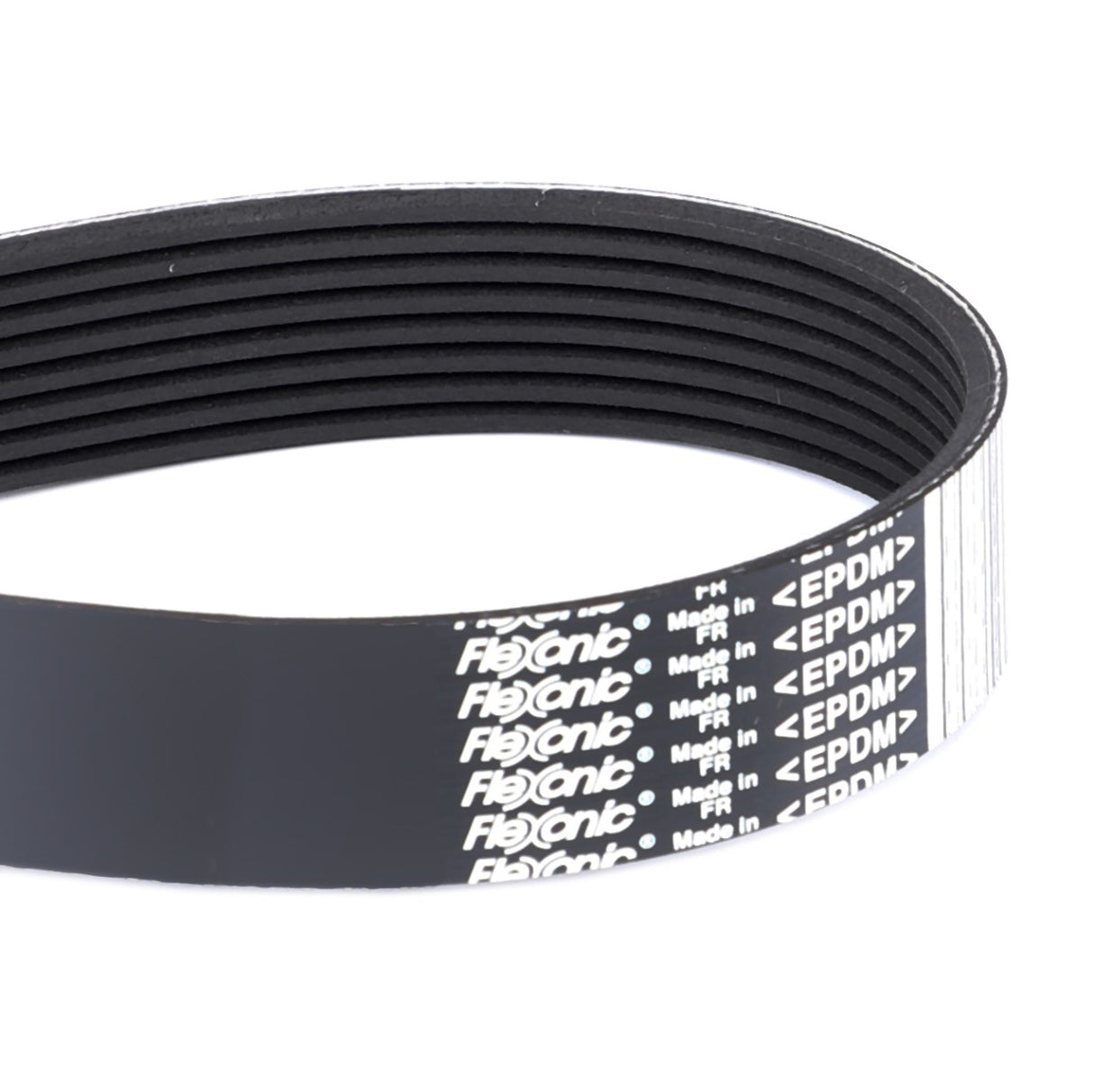 AGCO | Serpentine Belt, Pk8 Profile | AG-350200010230
