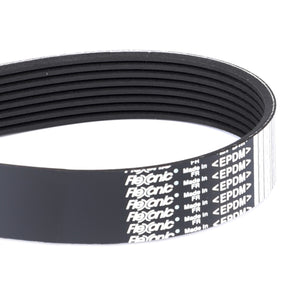 AGCO | Serpentine Belt, Pk8 Profile | AG-350200010230