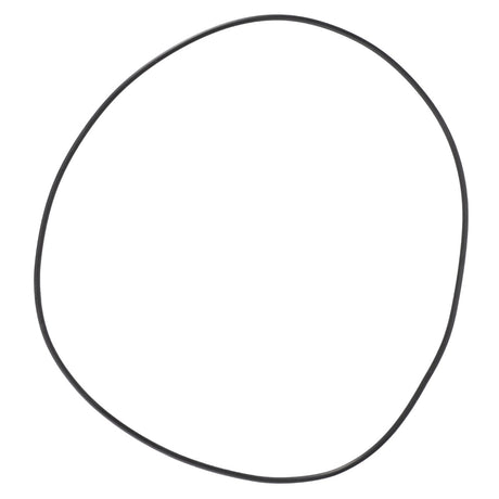 A single black AGCO O Ring (3760819M1) in the shape of an irregular circle against a white background, reminiscent of the robust durability found in Massey Ferguson models.