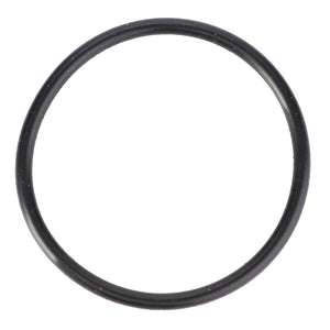 An AGCO O-Ring - X590980100000, a high-performance black rubber O-ring, isolated on a white background.