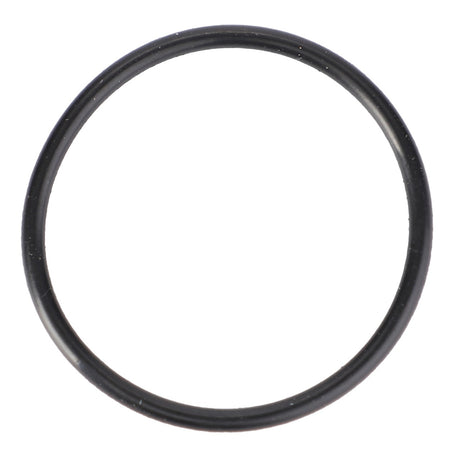 An AGCO O-Ring - X590980100000, a high-performance black rubber O-ring, isolated on a white background.