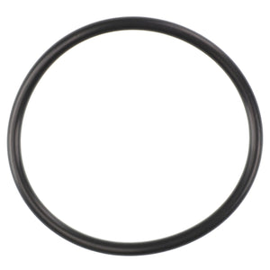 An AGCO O Ring - Acp0287250, a circular black rubber component commonly used in sealing applications, is carefully displayed against a pristine white background.