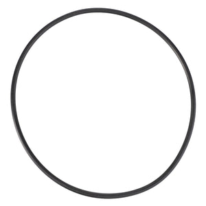 AGCO | O-Ring, Ø 101 X 3 Mm | AG-X549284566000