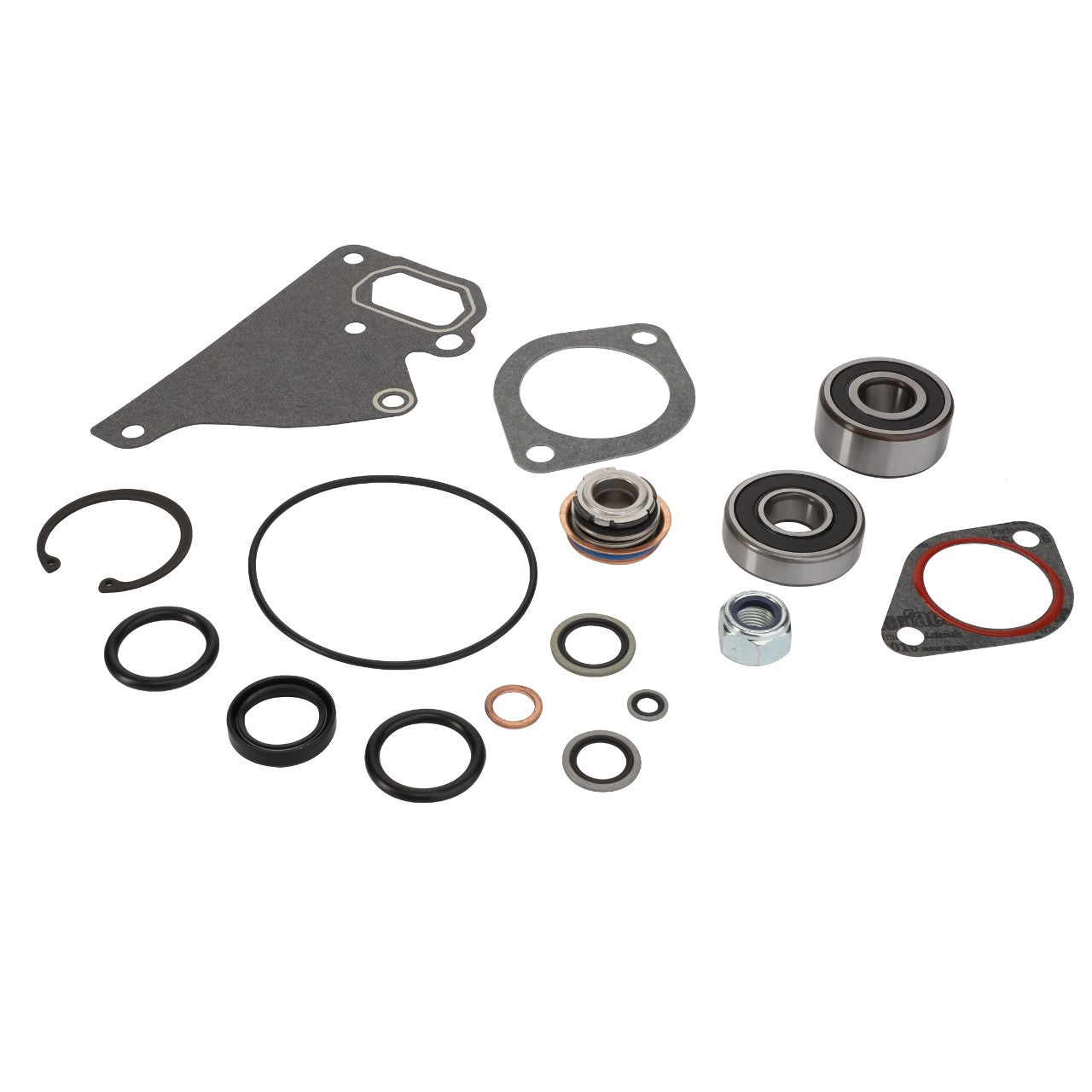 A collection of various automotive gaskets, bearings, O-rings, and seals arranged on a white background featuring the AGCO | Water Pump Repair Kit - Acp0566440.