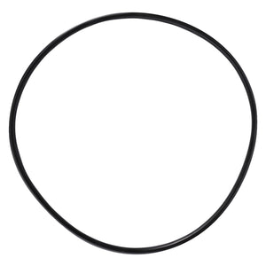 AGCO | O Ring | AG-3015551X1