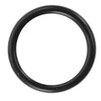 AGCO | O-Ring - F395301020420, a black rubber O-ring set against a white background. No detailed product description is currently available.