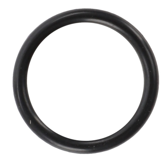 AGCO | O-Ring - F395301020420, a black rubber O-ring set against a white background. No detailed product description is currently available.