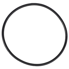 A black circular rubber O-ring, identified as AGCO | O-RING - AG610748 from the brand AGCO, sits on a white background. No further specifications are available.