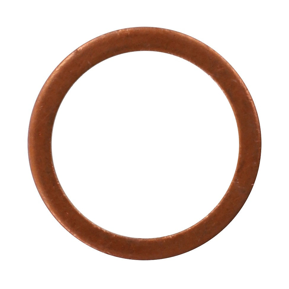 A Gasket - Va023264 from AGCO, featuring a round copper washer, is displayed against a plain white background. No current product description available for reference.