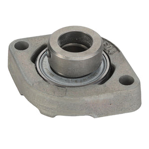 AGCO | BEARING - D41717100