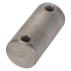 No current product description is available for the AGCO | Bolt - Fel151941, a cylindrical metal connector with two threaded holes.