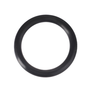 AGCO | O-Ring | AG-3014125X1
