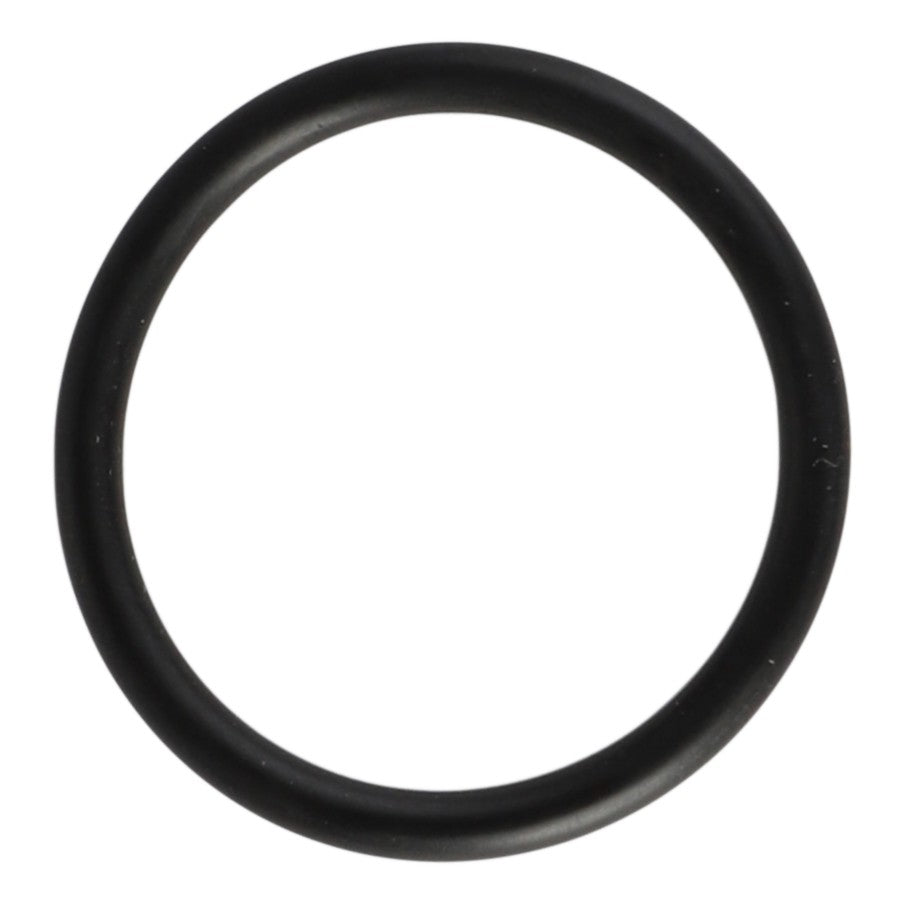 AGCO | O-Ring | AG-X548859400000