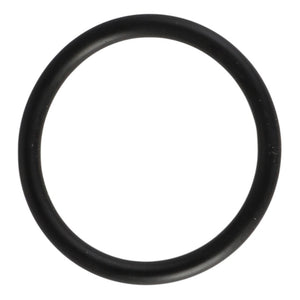 AGCO | O-Ring | AG-X548859400000