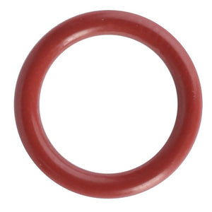 AGCO | O-RING - F916961020190
