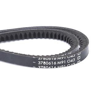 AGCO V-Belt Matched Pair for Massey Ferguson Engines | 3780616M91