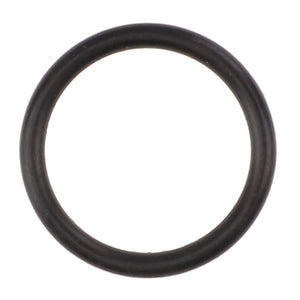 A close-up view of an AGCO black rubber O-ring (AL519041) on a white background. Further product description information is currently unavailable.