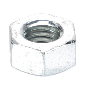 Close-up image of the AGCO | Nut - X428202439000 hexagonal metal nut with internal threading, perfect for securing components on a Fendt Vario or FARMER 311.