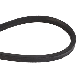 AGCO | V BELT - D41916800