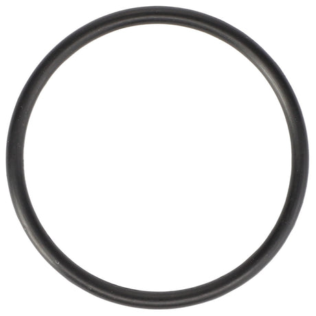 *STOCK CLEARANCE* - O Ring - 70923563 - Farming Parts