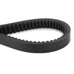 Close-up of the Genuine AGCO Drive V Belt, Variator (D26746997), featured in black with a V-shape and teeth on the inner side, designed for precise synchronization in machinery or automotive engines. Achieve unmatched performance and meet exact specifications with this high-quality AGCO product.