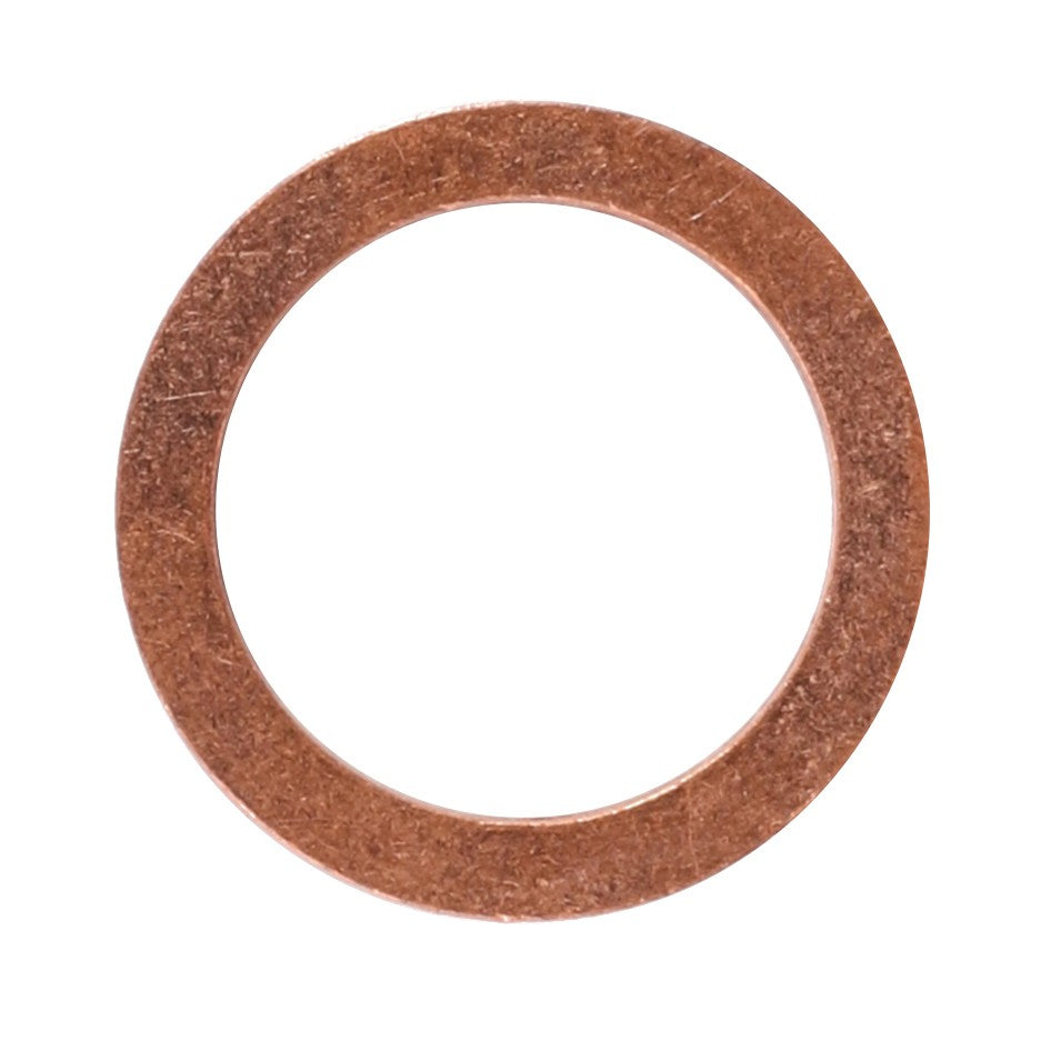 AGCO | Sealing Washer | AG-X540004878000