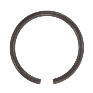 AGCO | External Retaining Ring | AG-196097M1