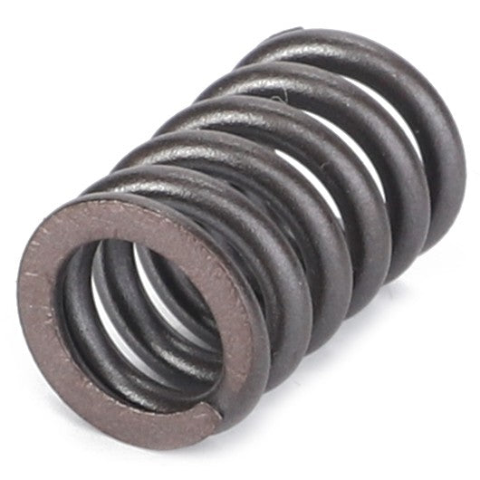 Close-up image of the AGCO | SPRING - AL516113, a tightly wound, cylindrical metal compression spring by AGCO. No current product description information available.