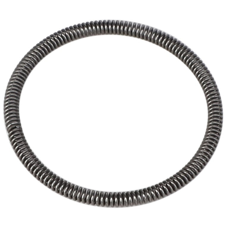 AGCO | Spring | AG-512223M1