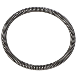 AGCO | Spring | AG-512223M1
