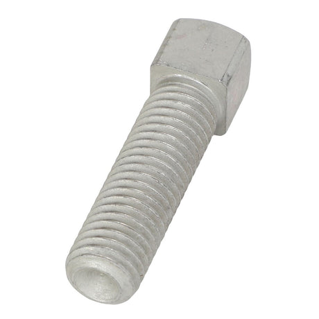 AGCO | Cup Point Square Head Set Screw - 3009640X1 - Farming Parts