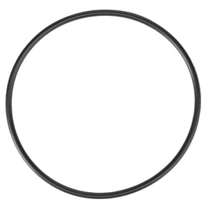 A black rubber AGCO O-Ring (model 70937167) against a white background exemplifies genuine o-ring seals, designed to meet high-performance demands with exceptional manufacturing consistency.