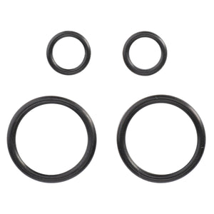AGCO Seal Kit Durable OEM Hydraulic Repair Set for Tractors | 4358853M11