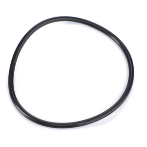 AGCO | O-Ring, Hydraulic Filter | AG-X548960200000