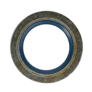 A circular metal washer with a blue inner ring, inspired by the design elements of Fendt Models, is displayed on a white background. This product is identified as AGCO | Gaskets - X566006100000 from the brand AGCO.