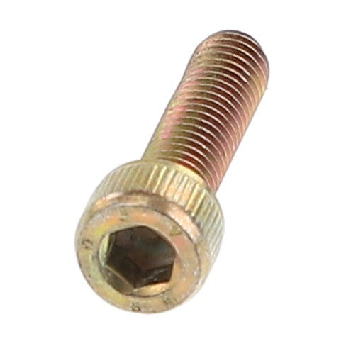 No current product description available: A close-up view of the AGCO | Hex Socket Screw - Va021394 with a metallic finish.