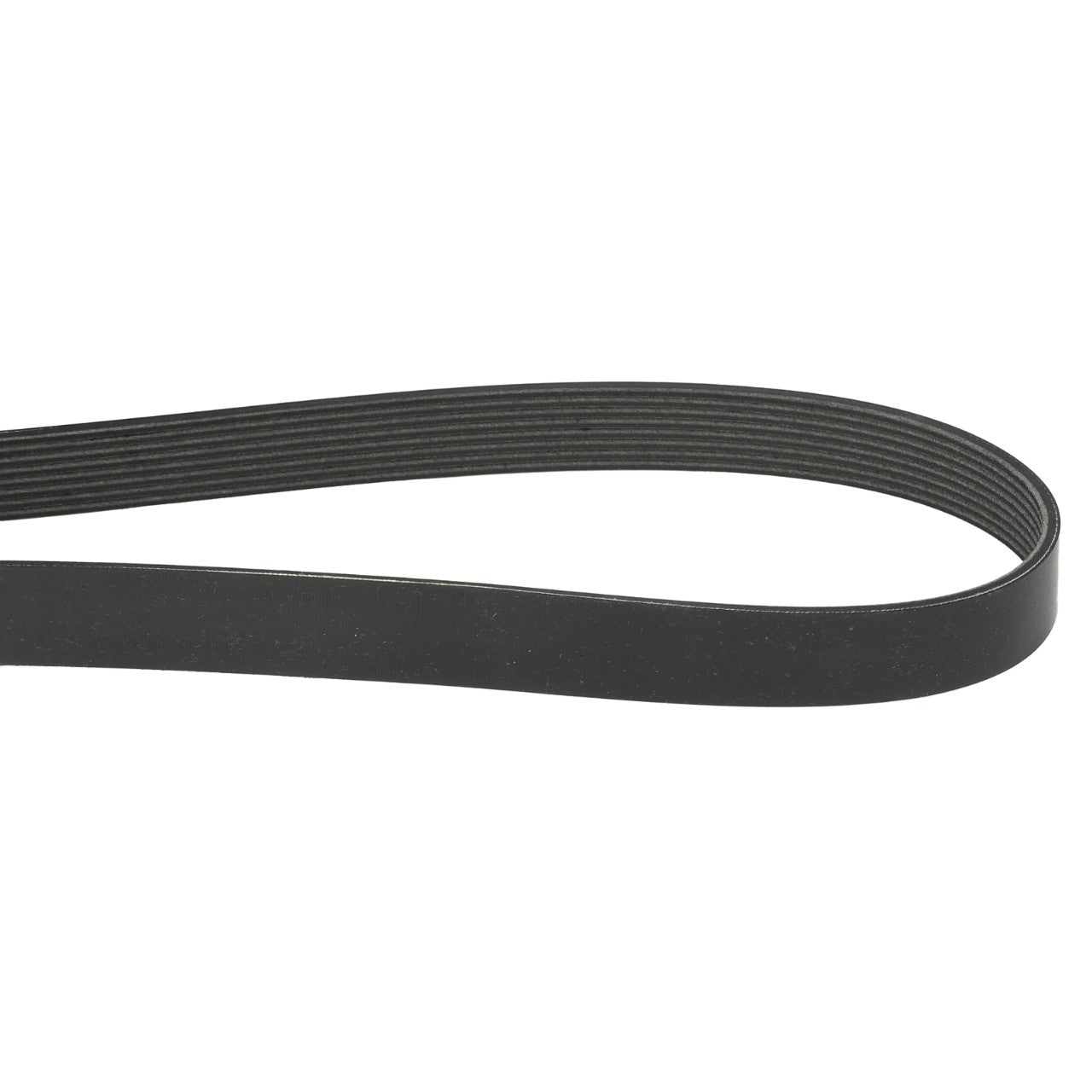 A close-up image of the AGCO Serpentine Belt, 8PK in black with an aramid cord (product number A3289503), featuring a ribbed inner surface commonly used in automotive engines. For any questions or assistance with ordering, please contact our support team.