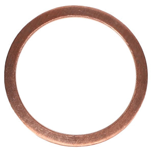 A circular, flat metal washer with a smooth surface, identified as the AGCO | Sealing Ring - 1118700, shown against a plain white background. Brand Name: AGCO. No current product description available.