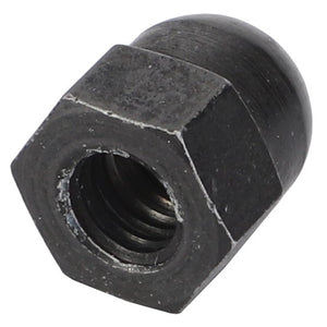 AGCO | Blind Nut | AG-X007100100043